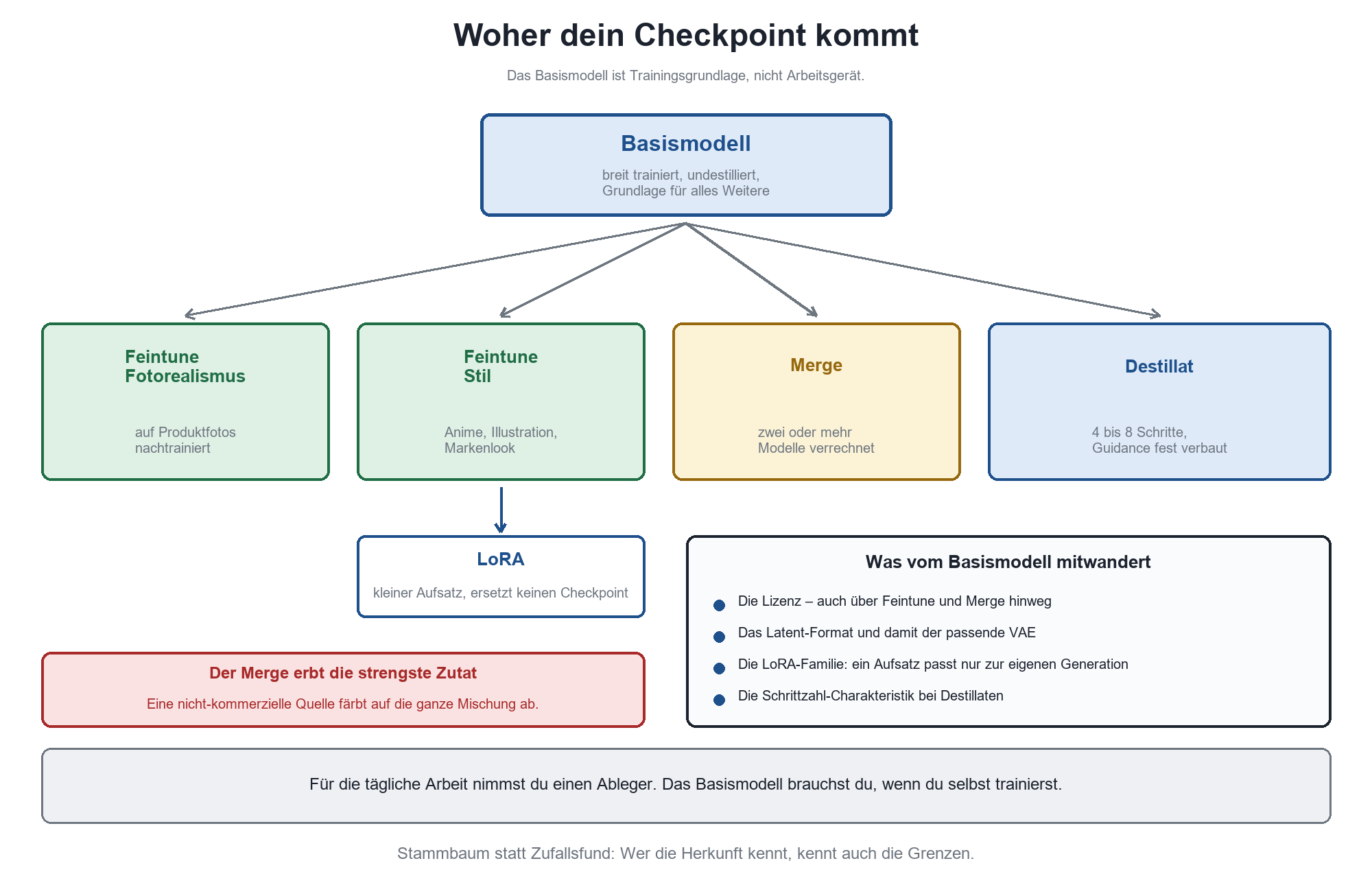 Stammbaum: Basismodell verzweigt in Feintune Fotorealismus, Feintune Stil, Merge, Destillat und LoRA